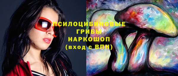тгк Алзамай