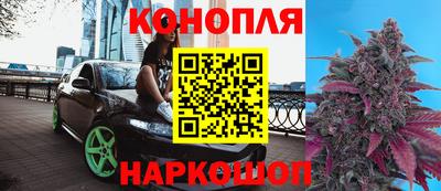 каннабис Гатчина